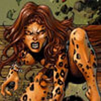 Cheetah