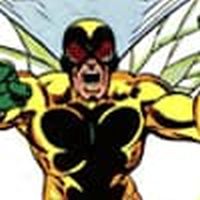 Human Fly