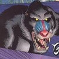 Igor the baboon